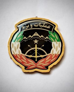 بج یا نشان سینه کوچک عملیات ویژه ارتش